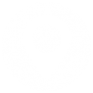 Map Pin Icon