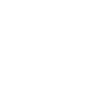 SSIP Registered Member logo